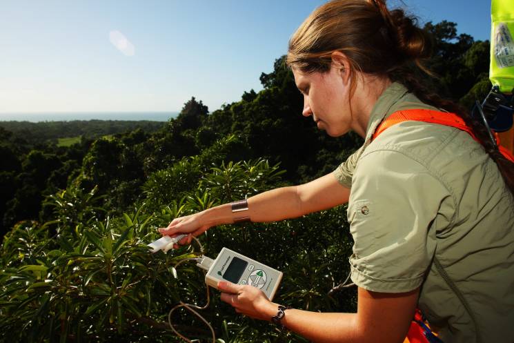 A scientist in Cape Tribulation, Australia