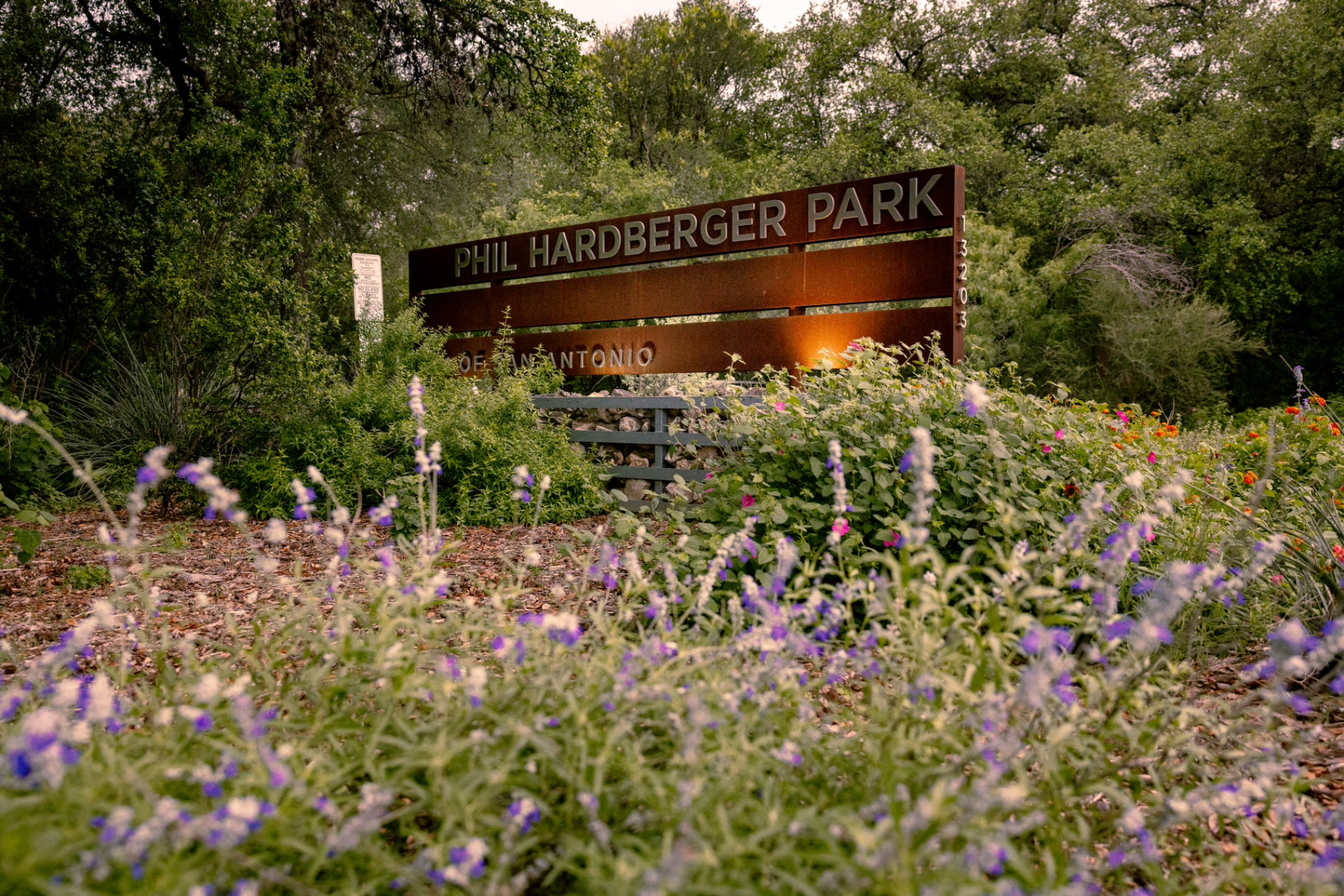 In pictures: a San Antonio land bridge designed for wildlife and people