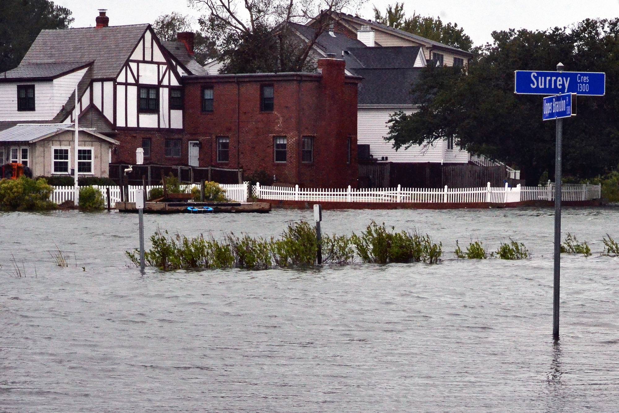 More Living Shorelines Could Come to States Bordering Chesapeake Bay if the Region’s Senators Get Their Way
