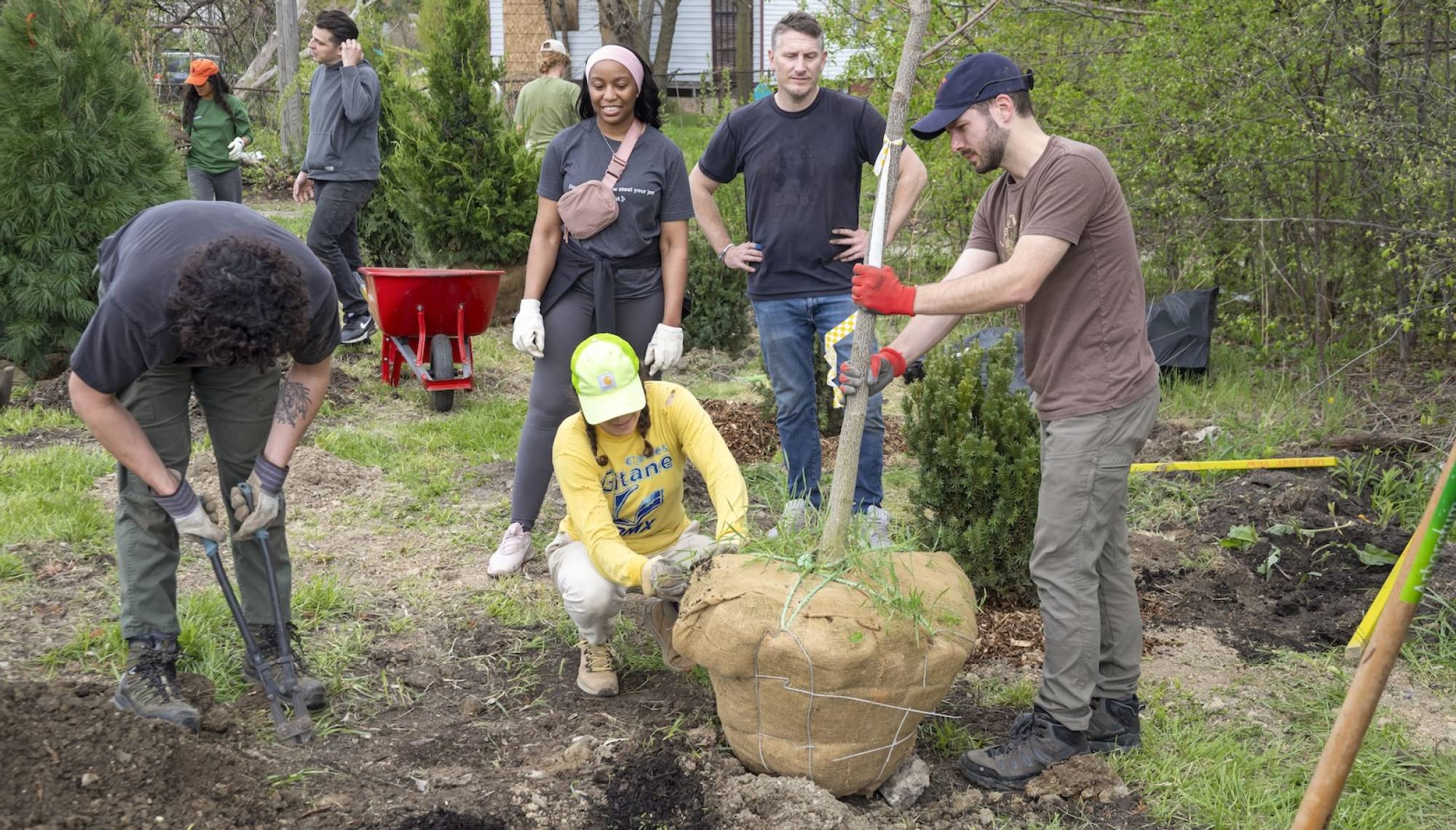 Urban trees aren’t just nice, scientists say — they’re mandatory