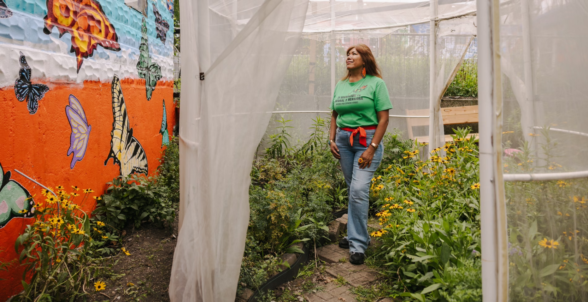 As monarch butterflies migrate for the fall, meet the Chicago woman trying to protect them