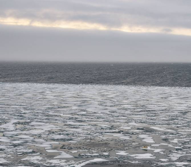 A polar bear is seen on ice floes in the British Channel in the Franz Josef Land archipelago on August 16, 2021.