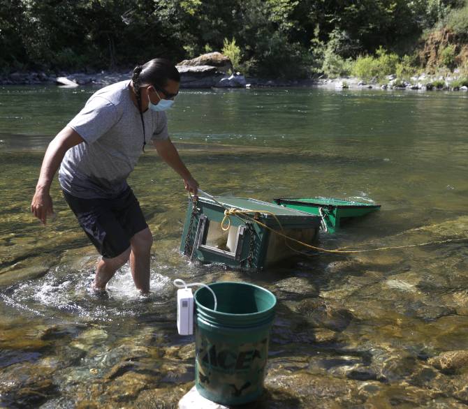  Gilbert Myers, a fisheries technician with the Yurok Fisheries Department, pulls fish traps out of the Klamath River on June 09, 2021 in Weitchpec, California.