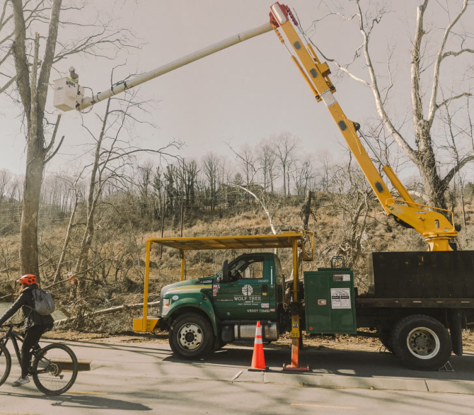 A tree service evaluates and trims trees in Asheville’s River Arts District, located along the French Broad River, an area that was greatly affected by Hurricane Helene. The hurricane, which struck in September 2024, was devastating for the region’s trees.