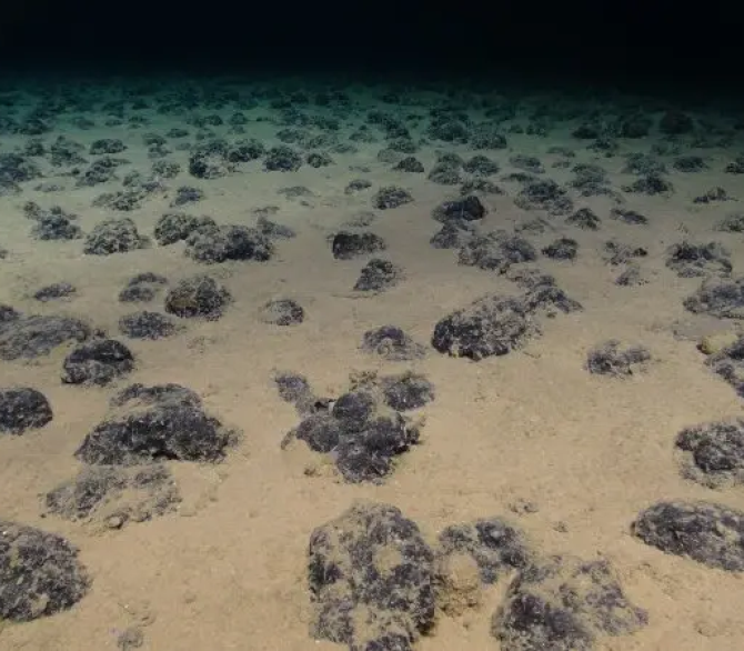 Deep-sea nodules are a source of critical metals. Mining for them could harm ecosystems.