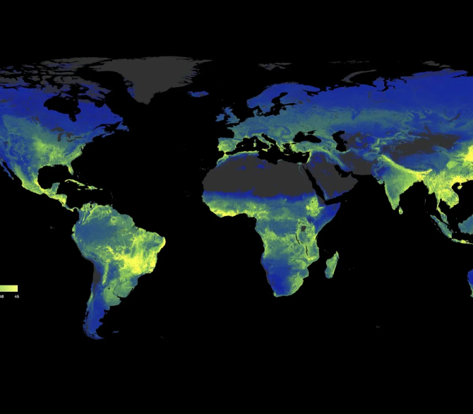 Society for the Protection of Underground Networks