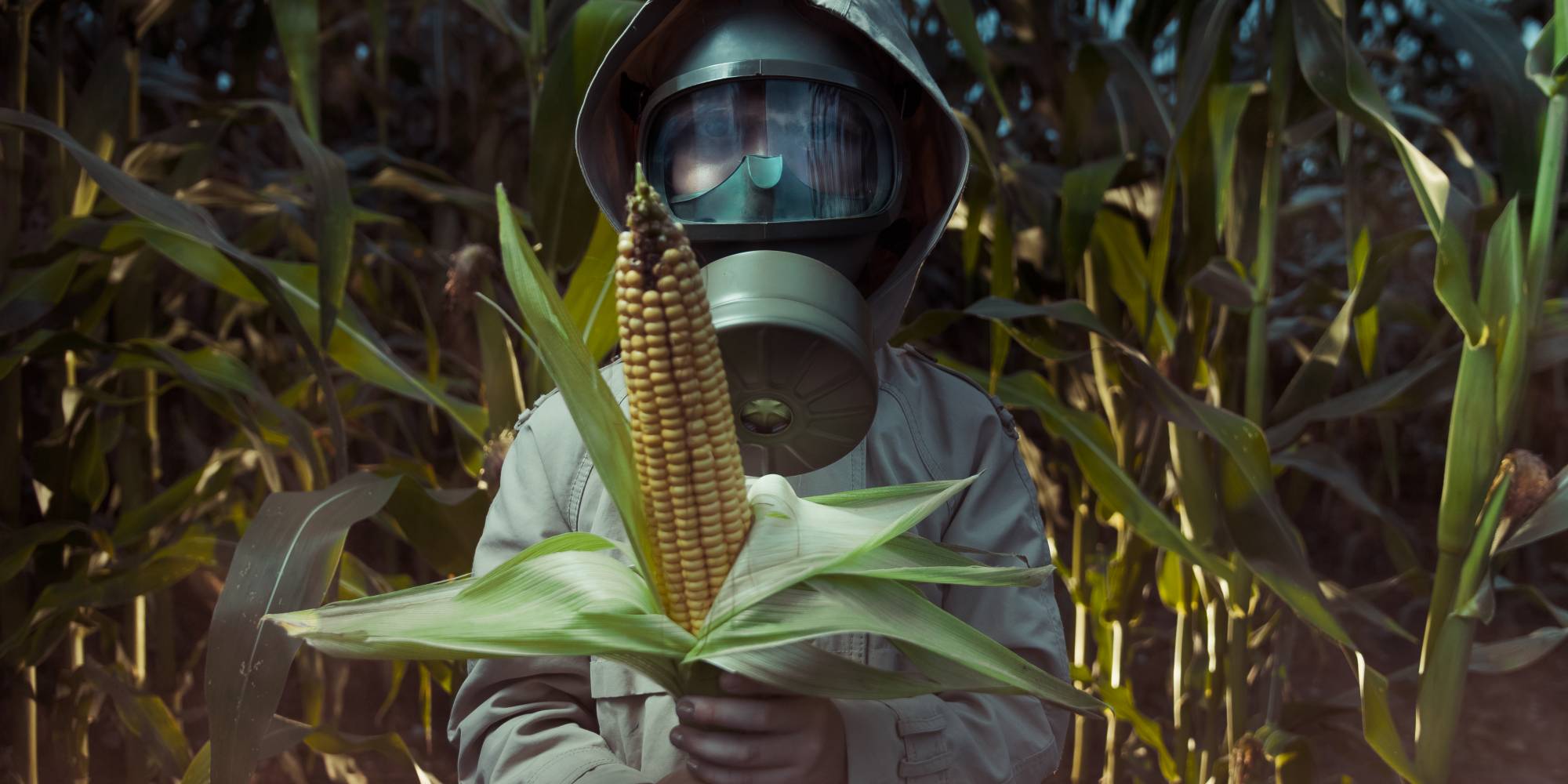 risk using insecticides and pesticides risk using insecticides and pesticides